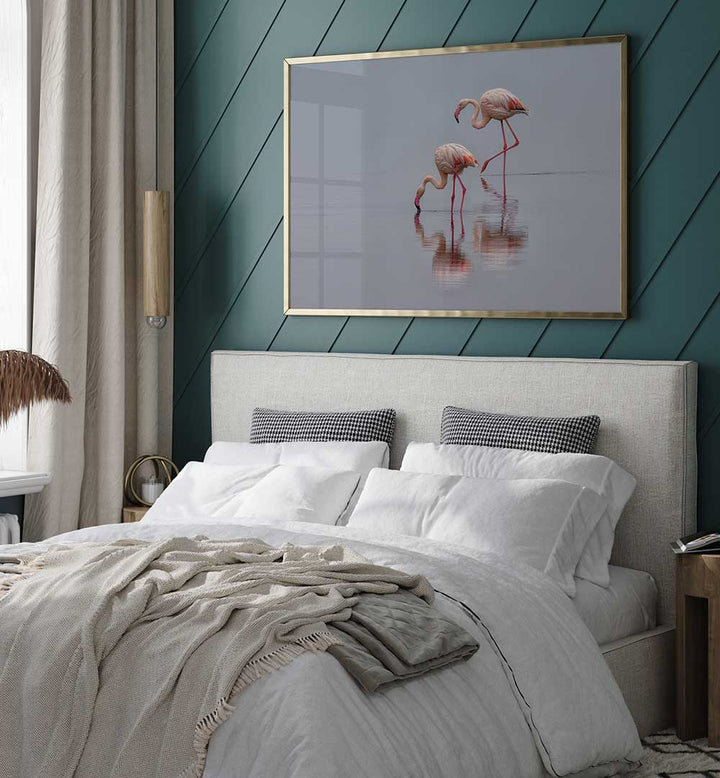 FLAMINGOS , PHOTOGRAPHY PRINTS