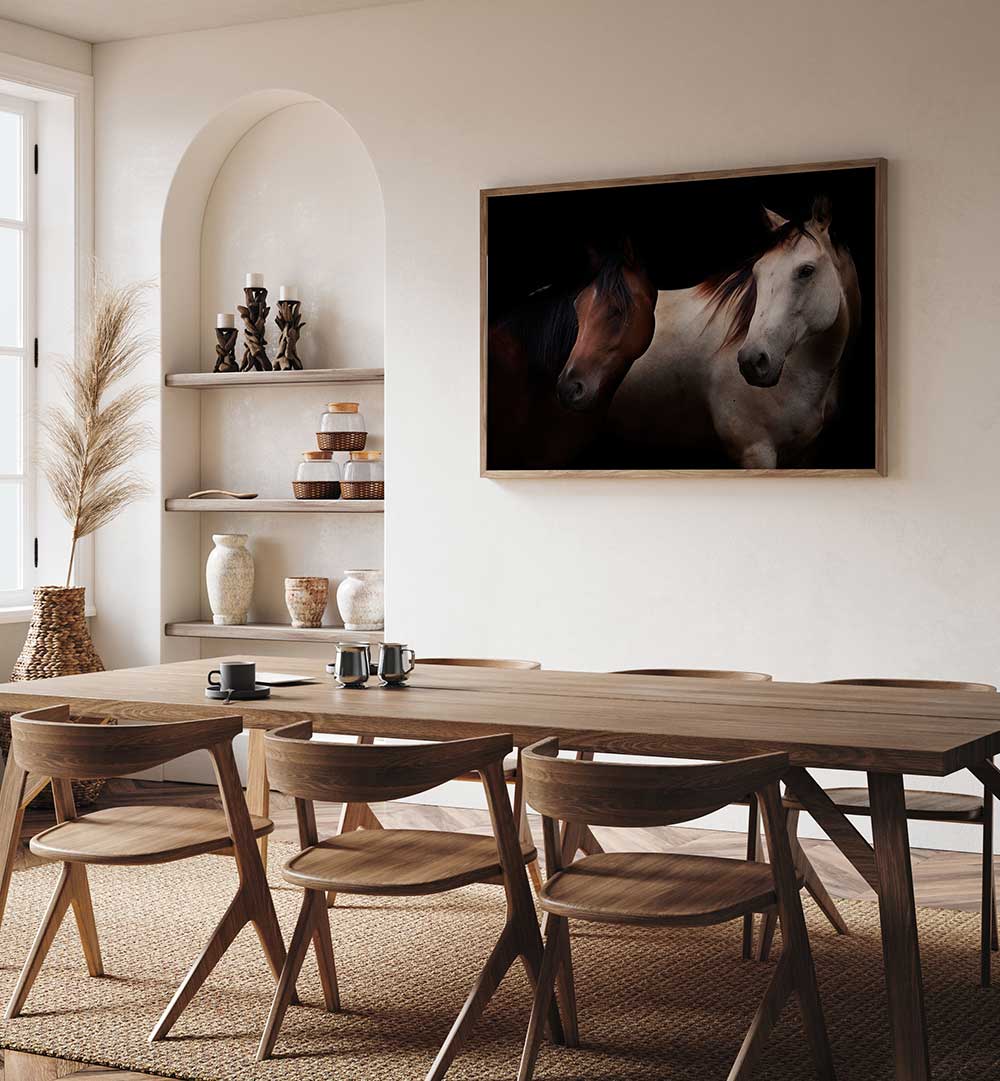 CAVALLI , PHOTOGRAPHY PRINTS