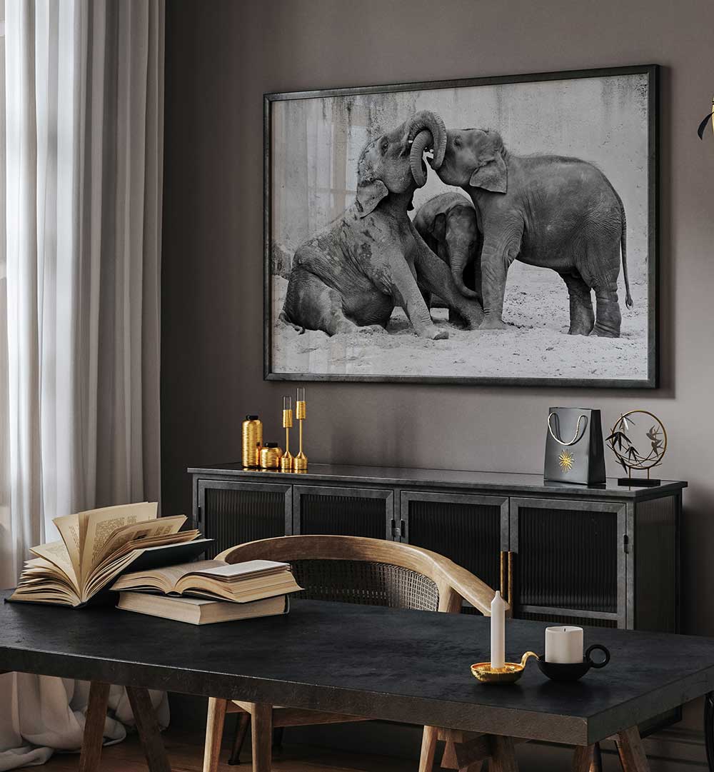 ELEPHANT'S AT PLAYGROUND , PHOTOGRAPHY PRINTS