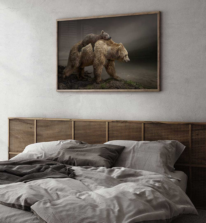 BABY BEAR  , PHOTOGRAPHY PRINTS