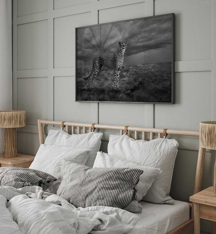 ALERT CHEETAH  , PHOTOGRAPHY PRINTS