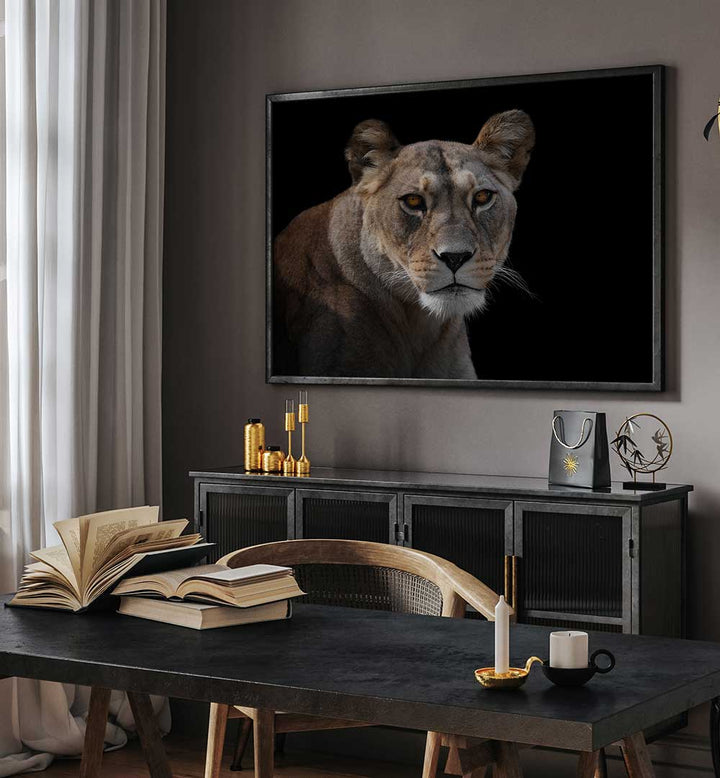 LIONESS PORTRAIT  , PHOTOGRAPHY PRINTS
