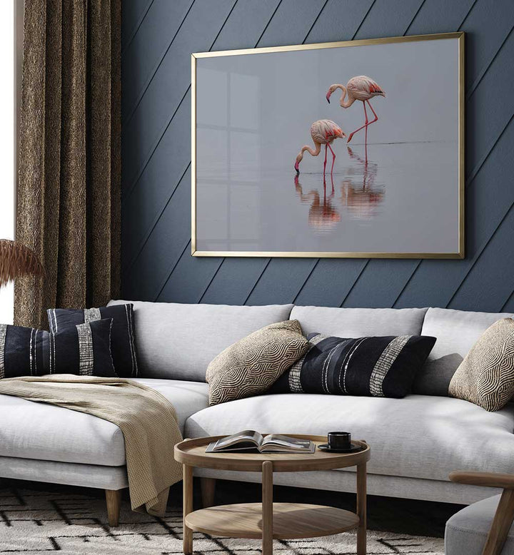 FLAMINGOS , PHOTOGRAPHY PRINTS
