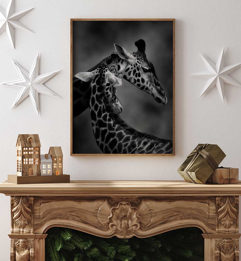 THE GENTLE GIANT , PHOTOGRAPHY PRINTS