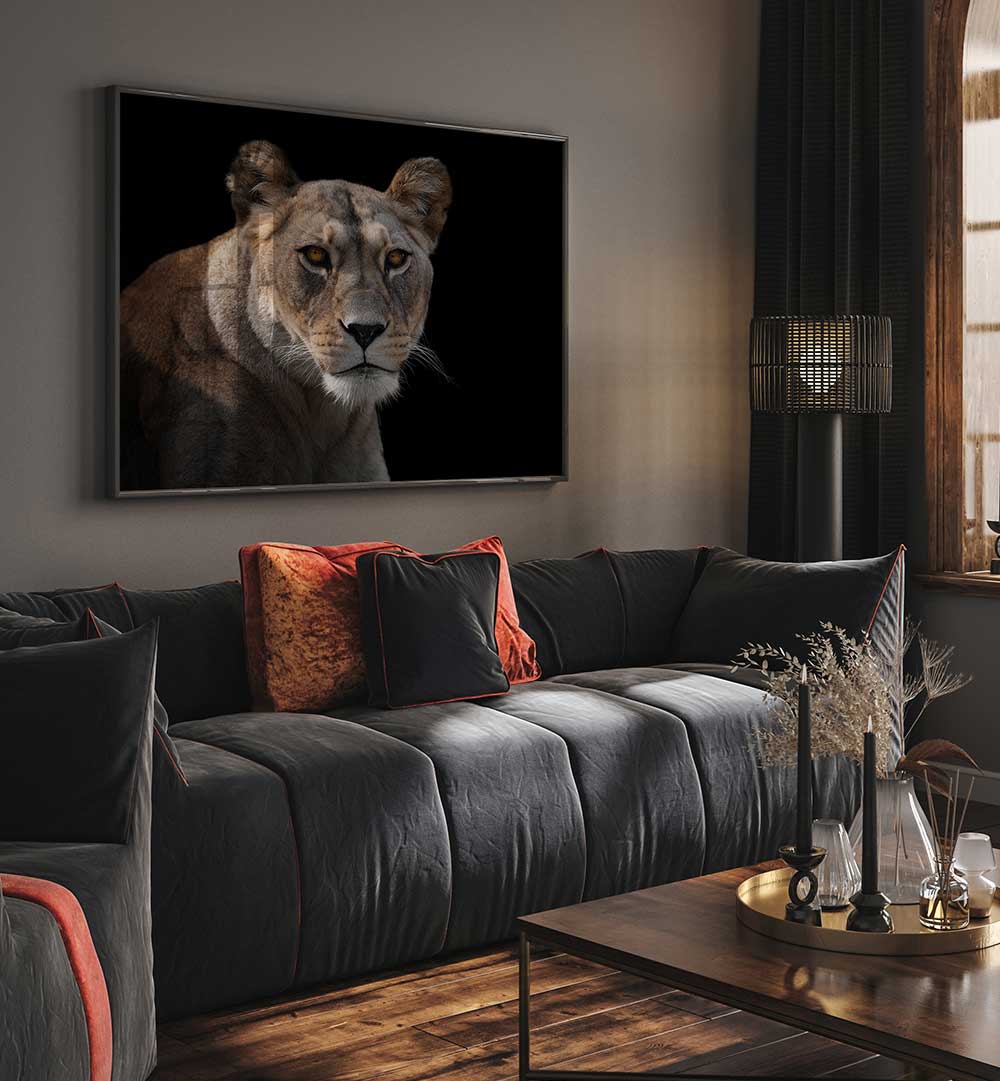 LIONESS PORTRAIT  , PHOTOGRAPHY PRINTS