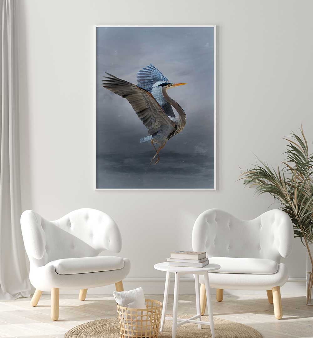 THE GREAT BLUE HERON , PHOTOGRAPHY PRINTS