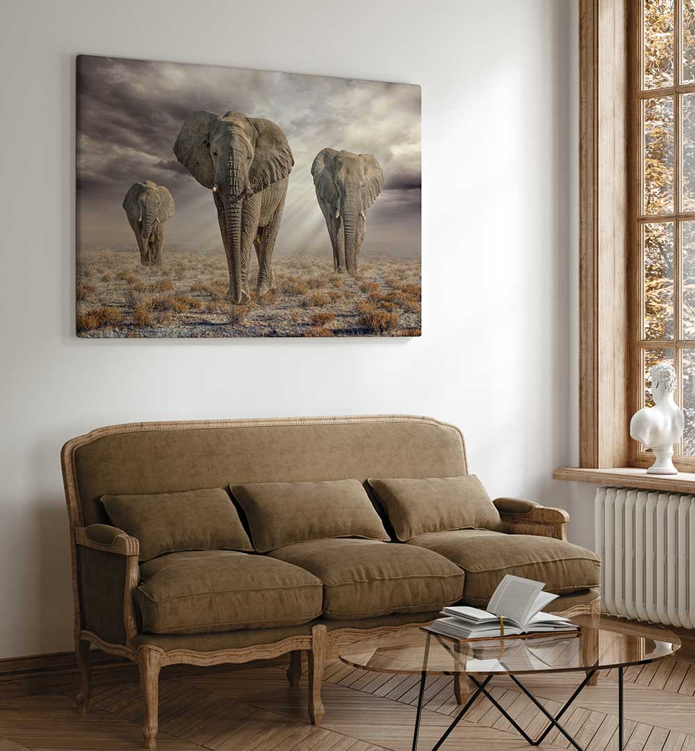 ETOSHA ELEPHANTS , PHOTOGRAPHY PRINTS