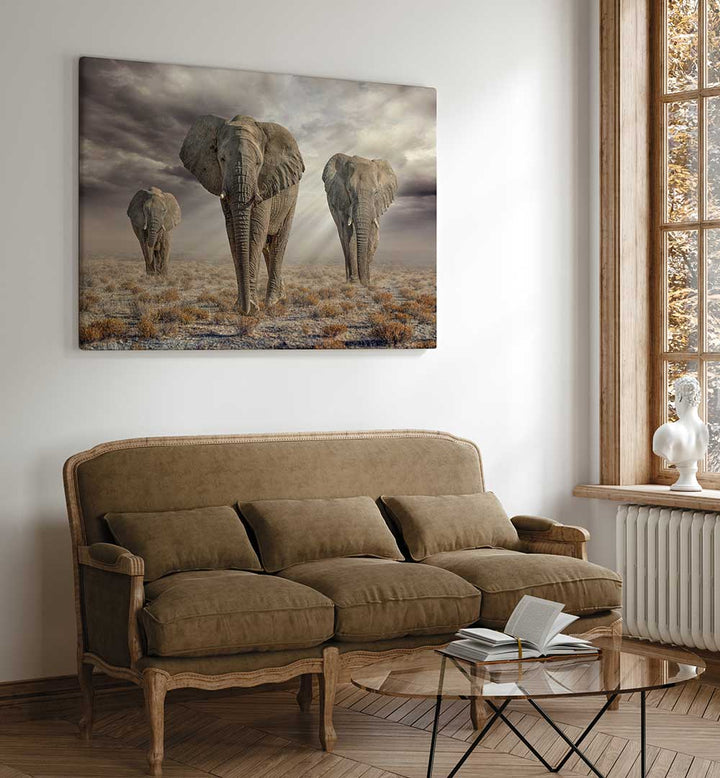 ETOSHA ELEPHANTS , PHOTOGRAPHY PRINTS