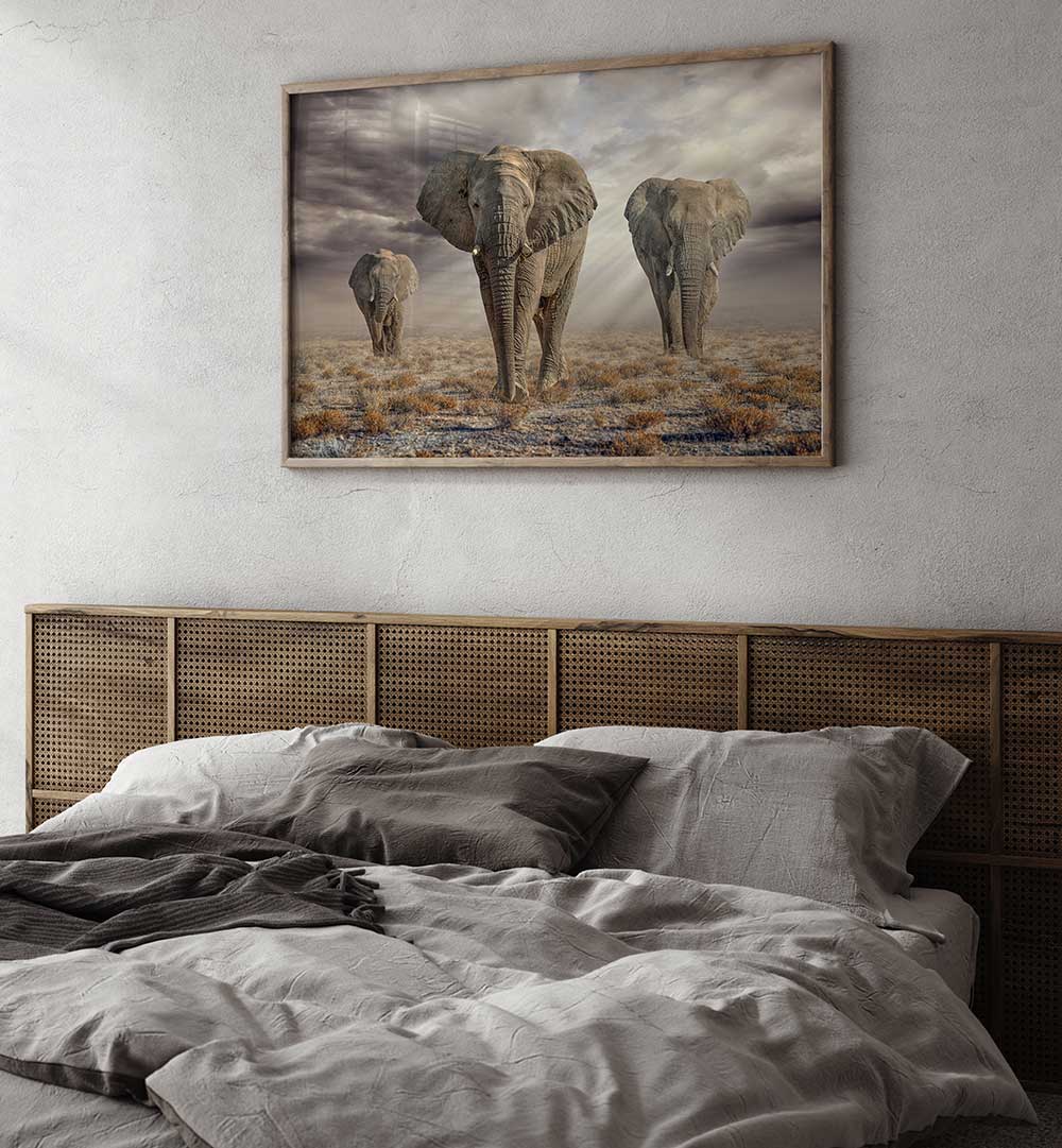 ETOSHA ELEPHANTS , PHOTOGRAPHY PRINTS