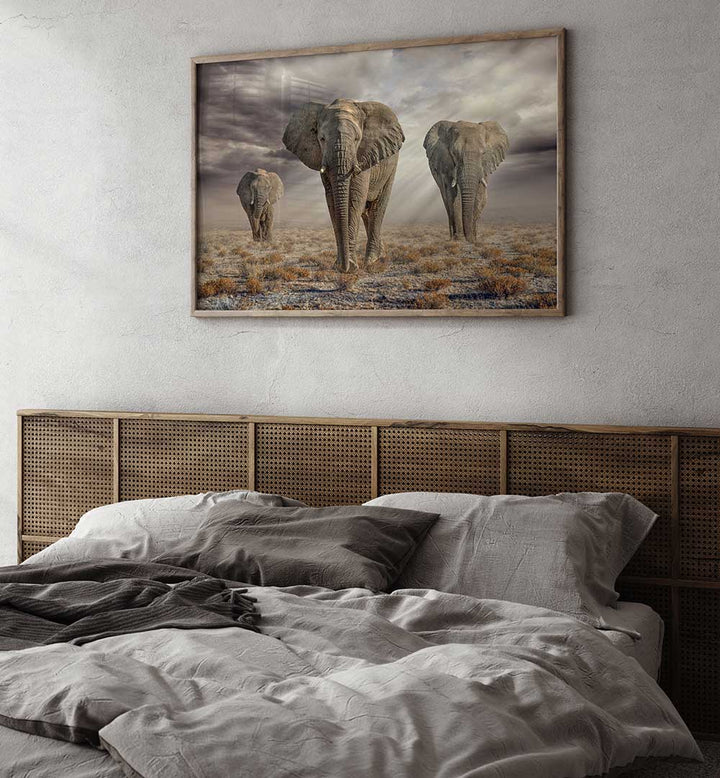 ETOSHA ELEPHANTS , PHOTOGRAPHY PRINTS