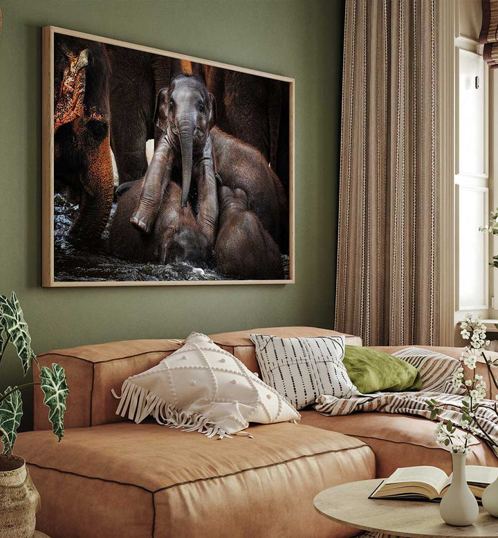 THE LITTLE PRINCE , PHOTOGRAPHY PRINTS