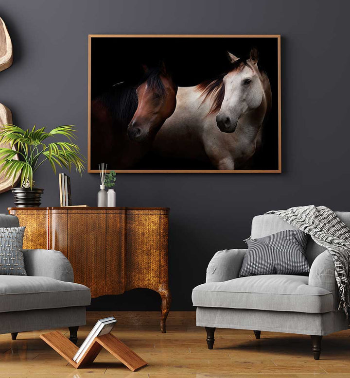 CAVALLI , PHOTOGRAPHY PRINTS