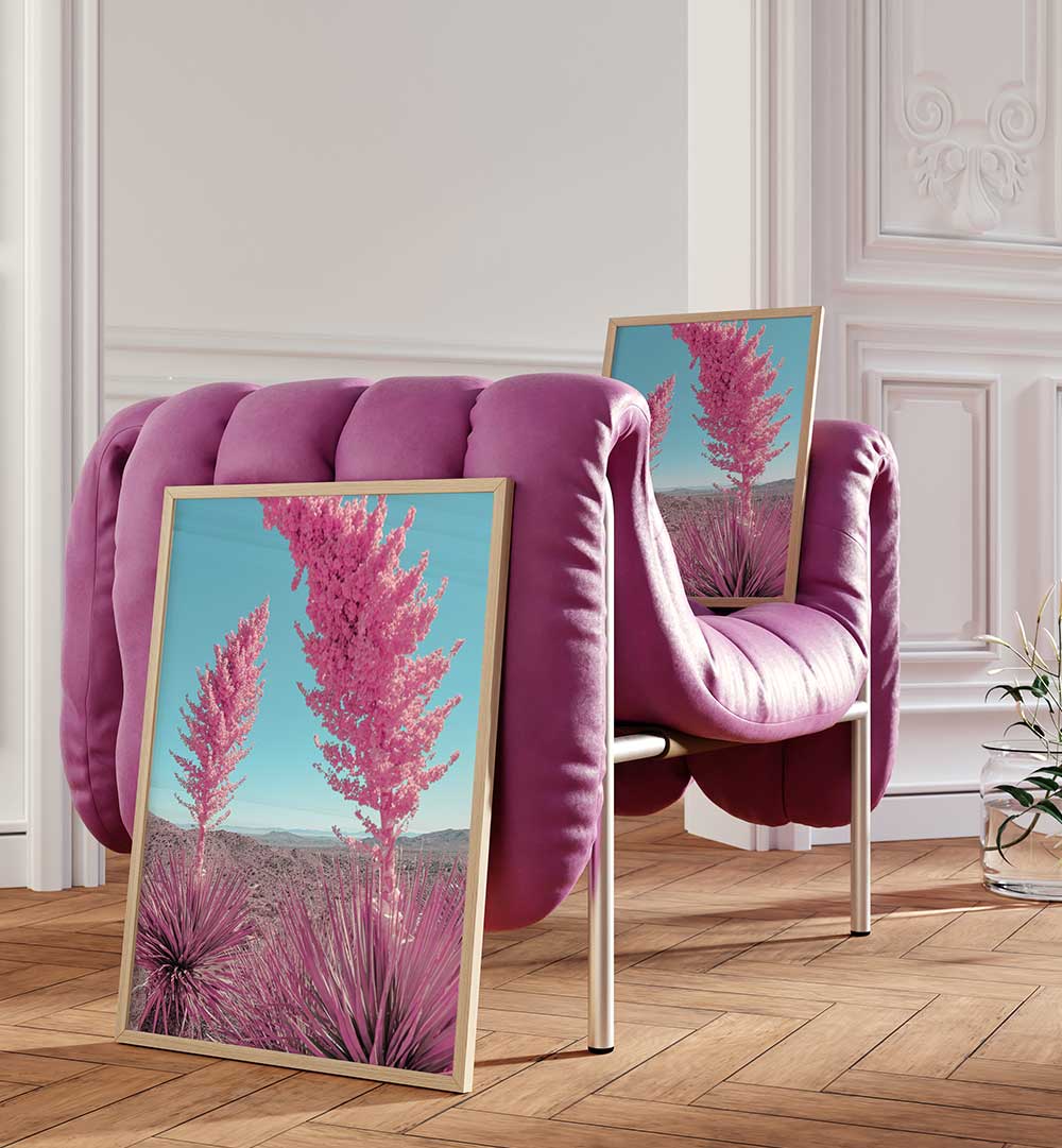 BLOOMING PINK YUCCAS IN THE MOJAVE DESERT , PHOTOGRAPHY PRINTS