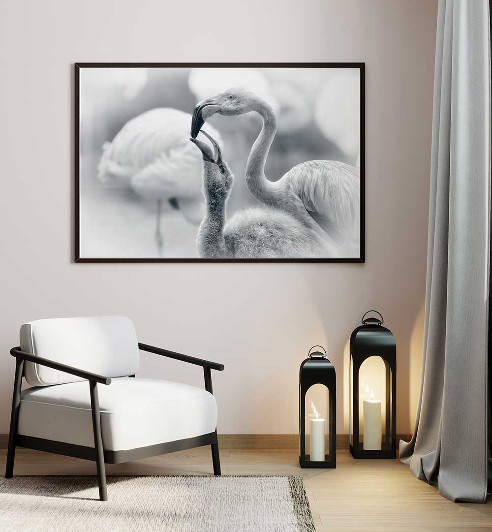 FEEDING , PHOTOGRAPHY PRINTS