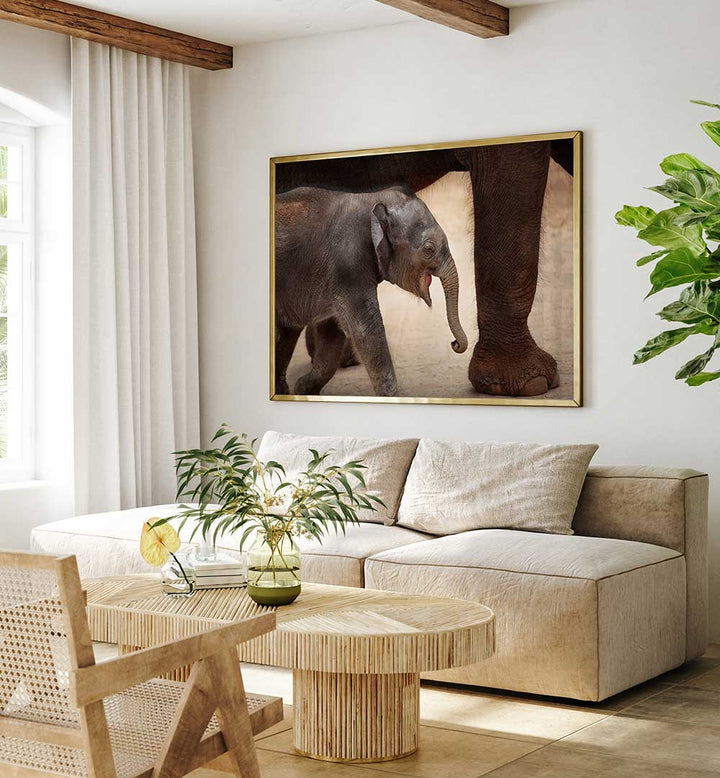 THE MAGIC OF WALKING , PHOTOGRAPHY PRINTS