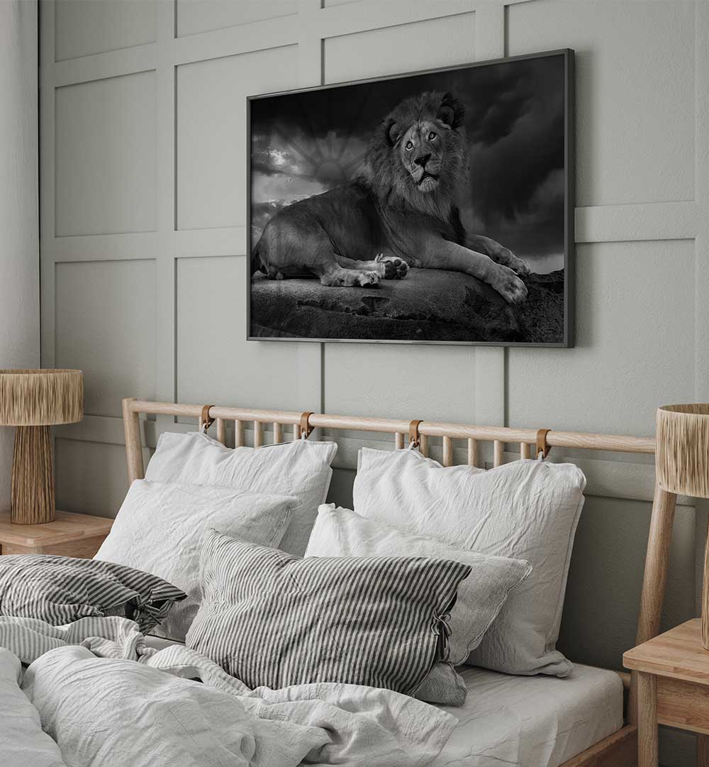 THE LION KING II , PHOTOGRAPHY PRINTS