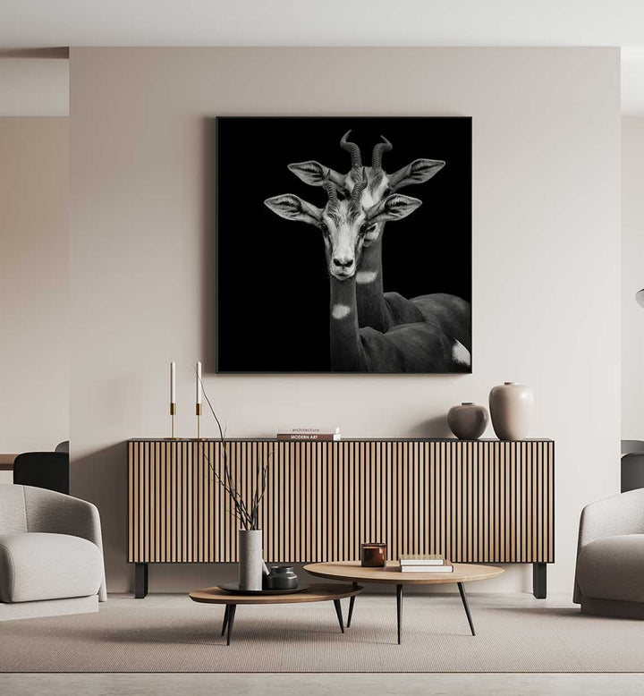 MIMICRY  , PHOTOGRAPHY PRINTS