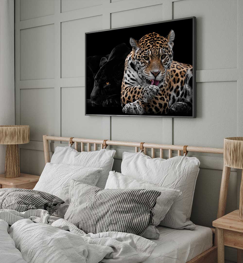 MR AND MRS JAGUAR  , PHOTOGRAPHY PRINTS