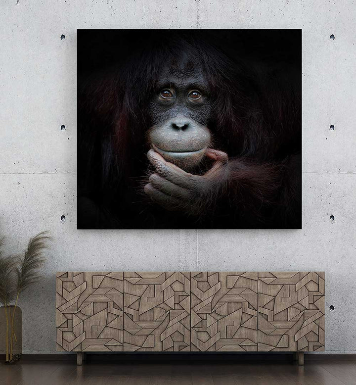 THE MIRROR IMAGE  , PHOTOGRAPHY PRINTS