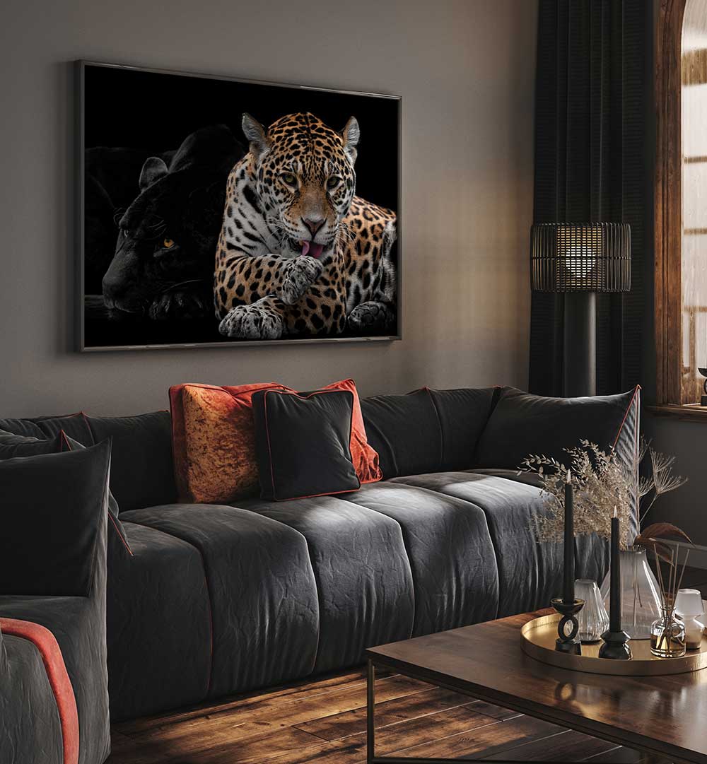 MR AND MRS JAGUAR  , PHOTOGRAPHY PRINTS