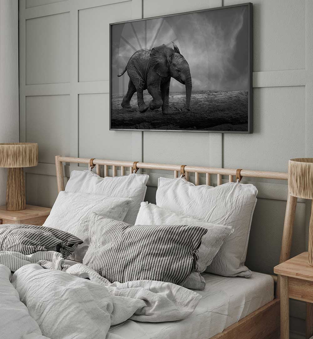 WALKING AROUND , PHOTOGRAPHY PRINTS