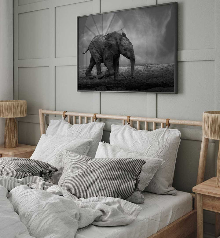 WALKING AROUND , PHOTOGRAPHY PRINTS