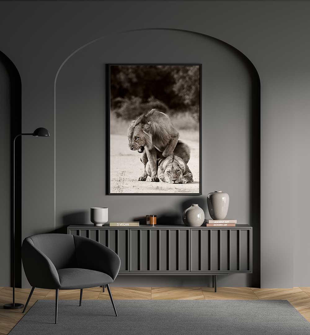 LION LOVE , PHOTOGRAPHY PRINTS