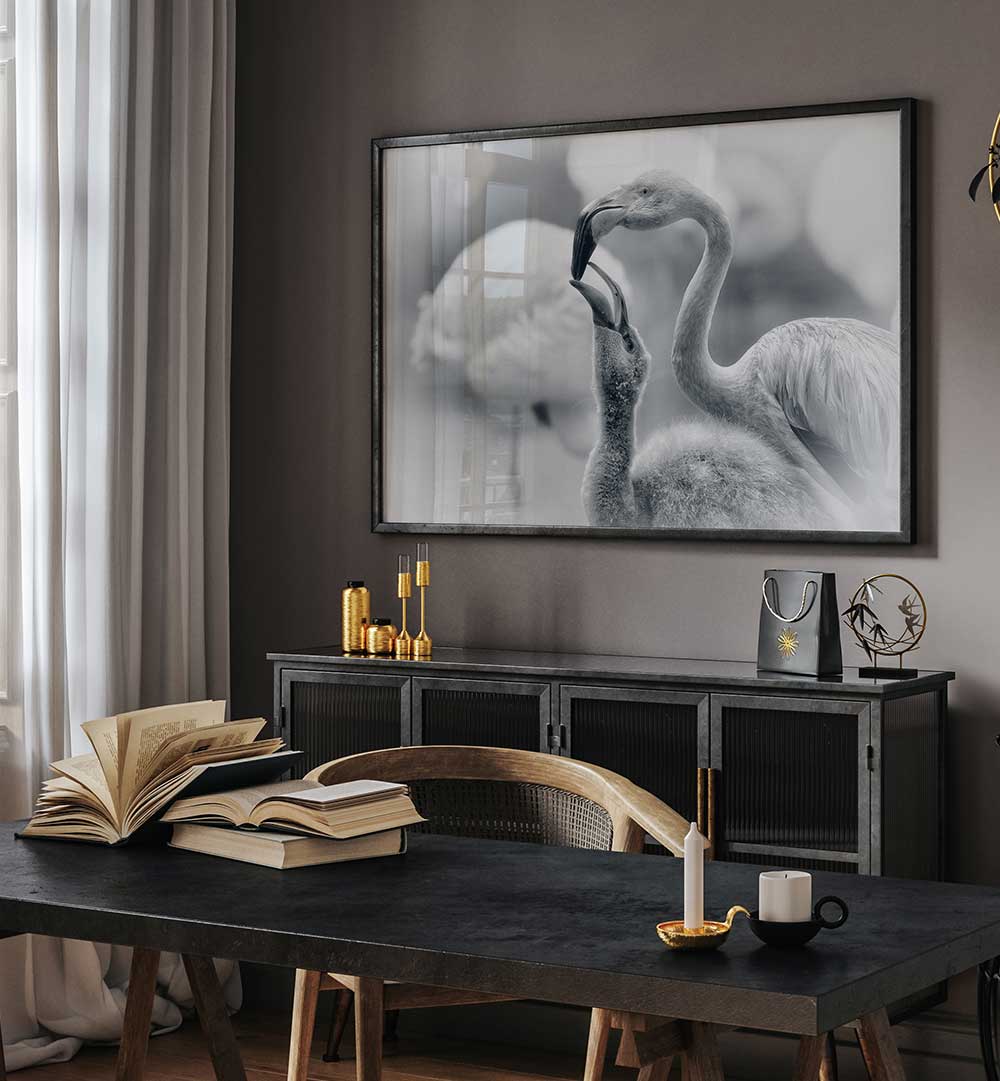 FEEDING , PHOTOGRAPHY PRINTS