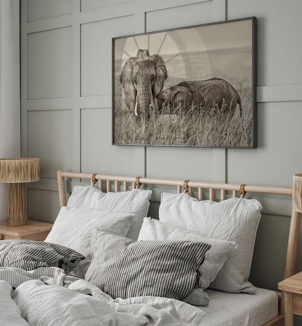 SNUGGLING , PHOTOGRAPHY PRINTS