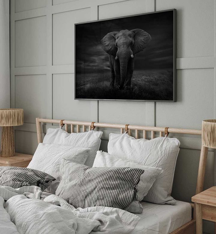 THE LONELY ELEPHANT , PHOTOGRAPHY PRINTS