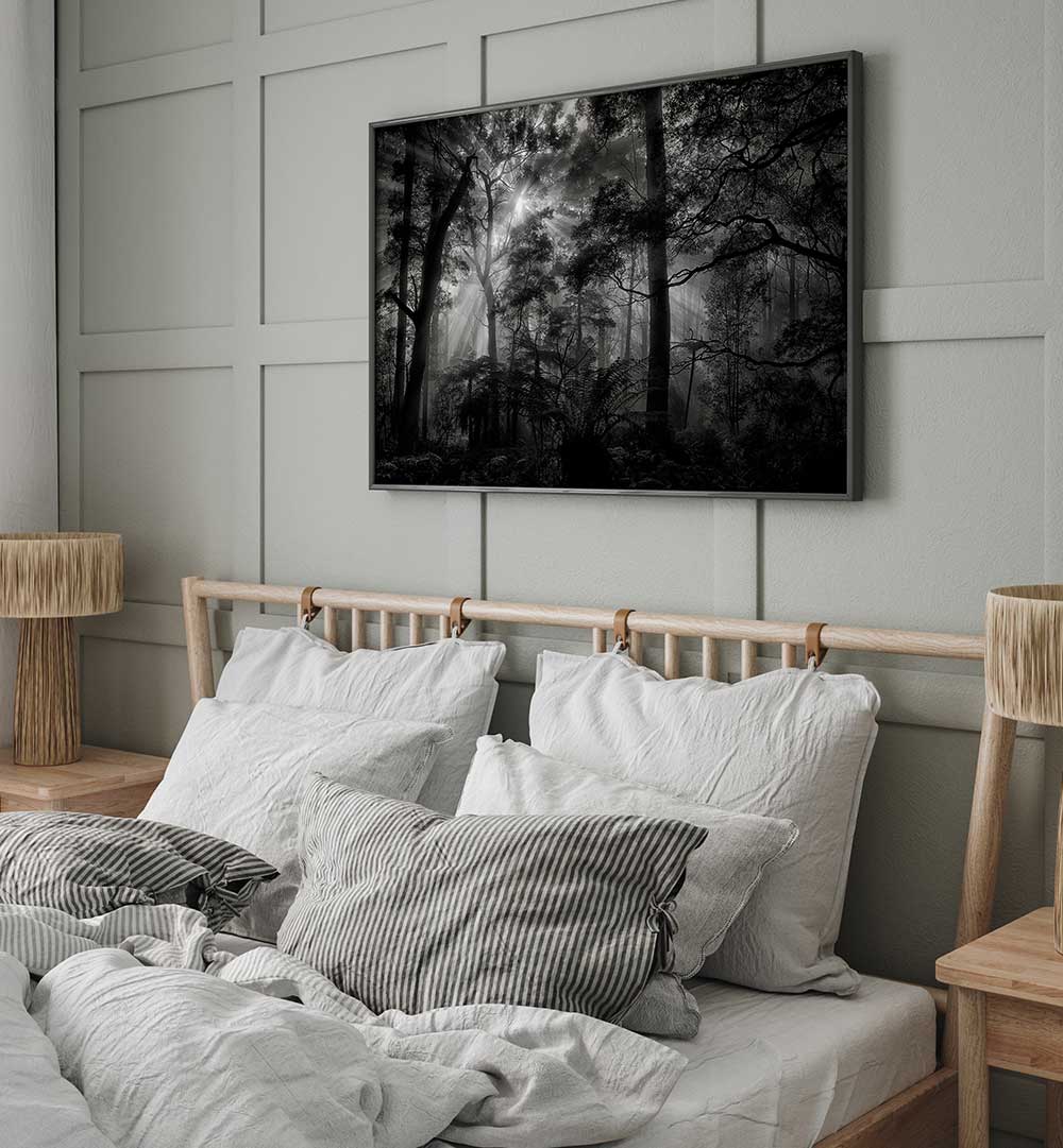 PRIMARY FOREST , PHOTOGRAPHY PRINTS