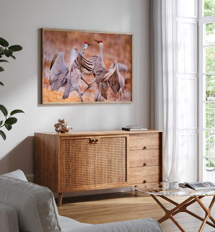 MATING SEASON , PHOTOGRAPHY PRINTS