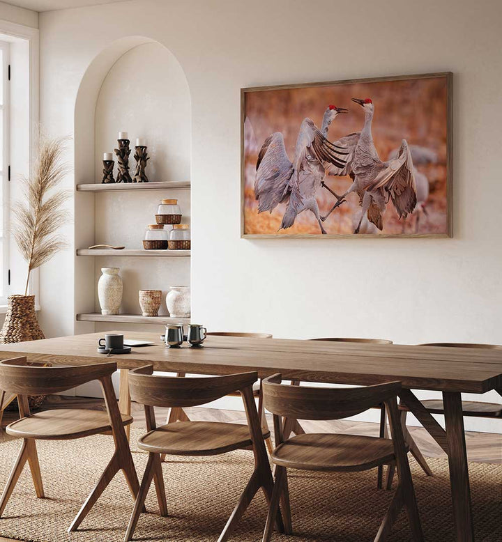 MATING SEASON , PHOTOGRAPHY PRINTS