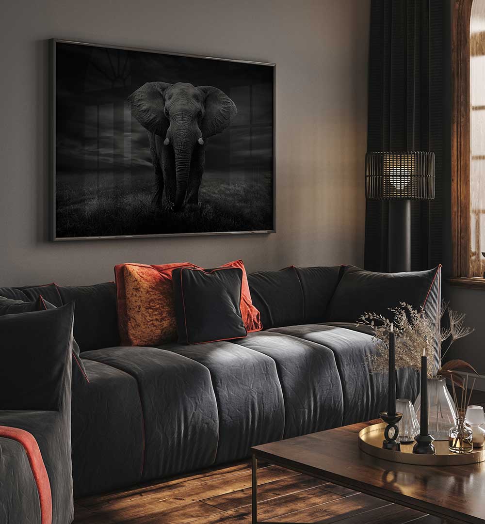 THE LONELY ELEPHANT , PHOTOGRAPHY PRINTS