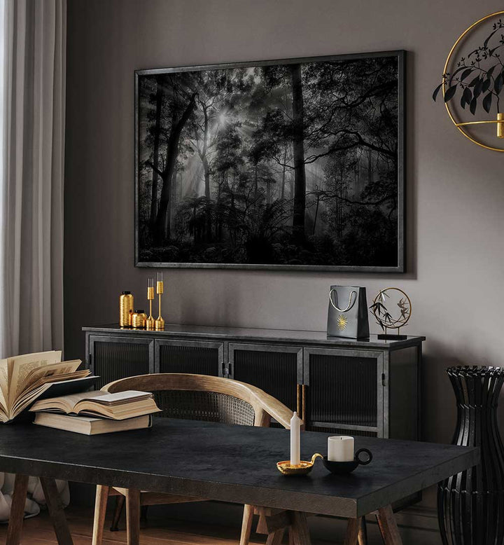 PRIMARY FOREST , PHOTOGRAPHY PRINTS