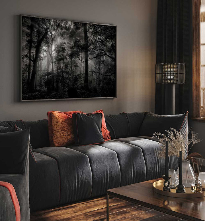 PRIMARY FOREST , PHOTOGRAPHY PRINTS