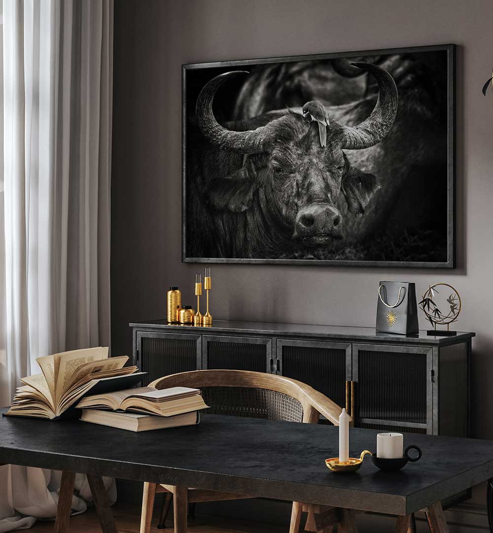 RED-BILLED OXPECKER  , PHOTOGRAPHY PRINTS