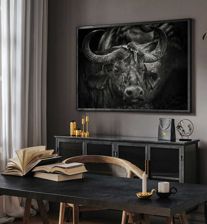 RED-BILLED OXPECKER  , PHOTOGRAPHY PRINTS