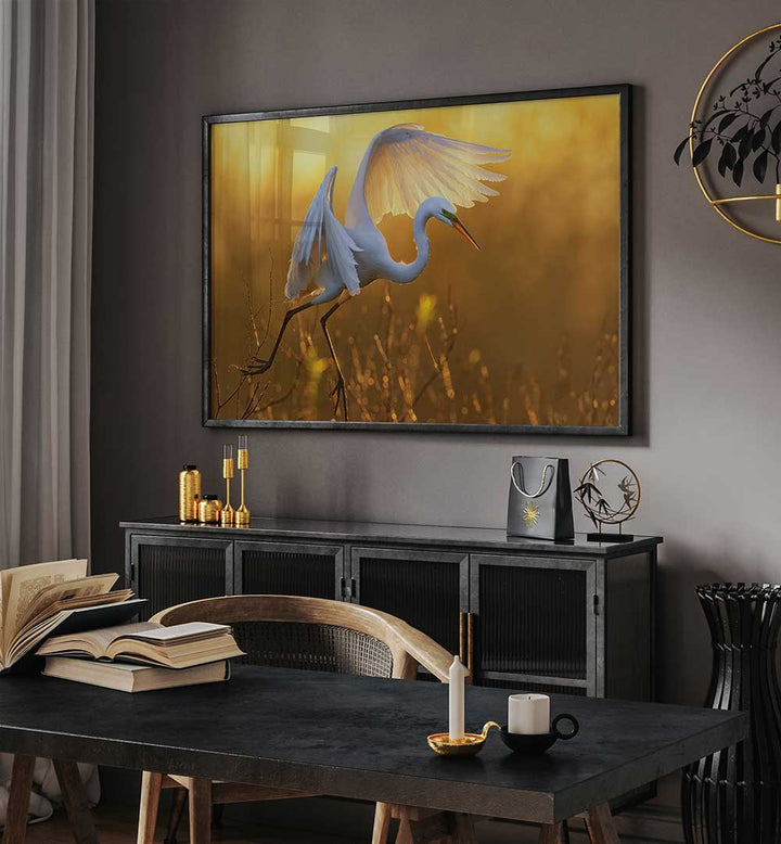 MORNING EGRET , PHOTOGRAPHY PRINTS