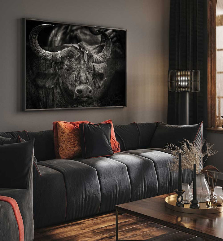 RED-BILLED OXPECKER  , PHOTOGRAPHY PRINTS