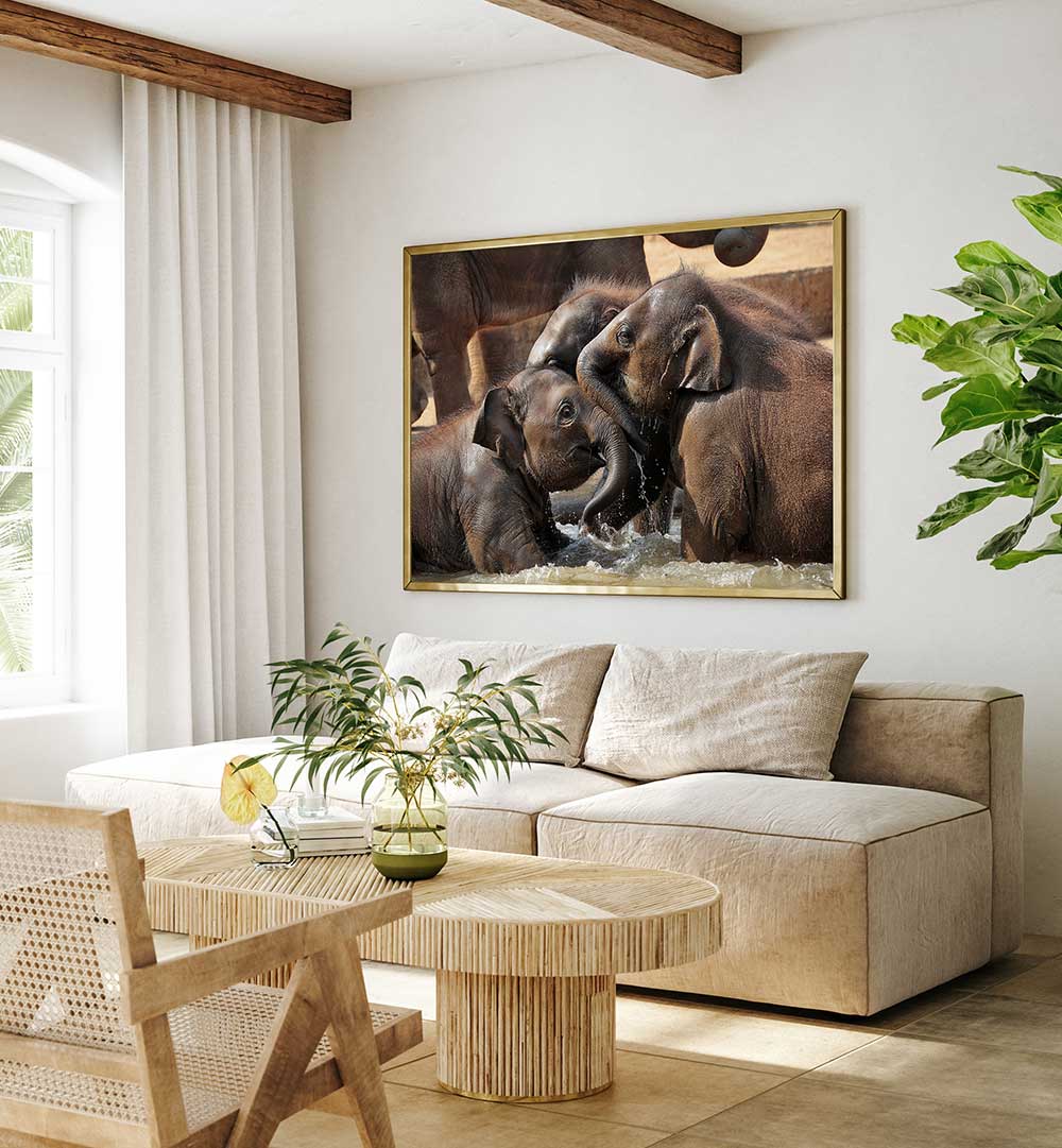 WATER FUN , PHOTOGRAPHY PRINTS