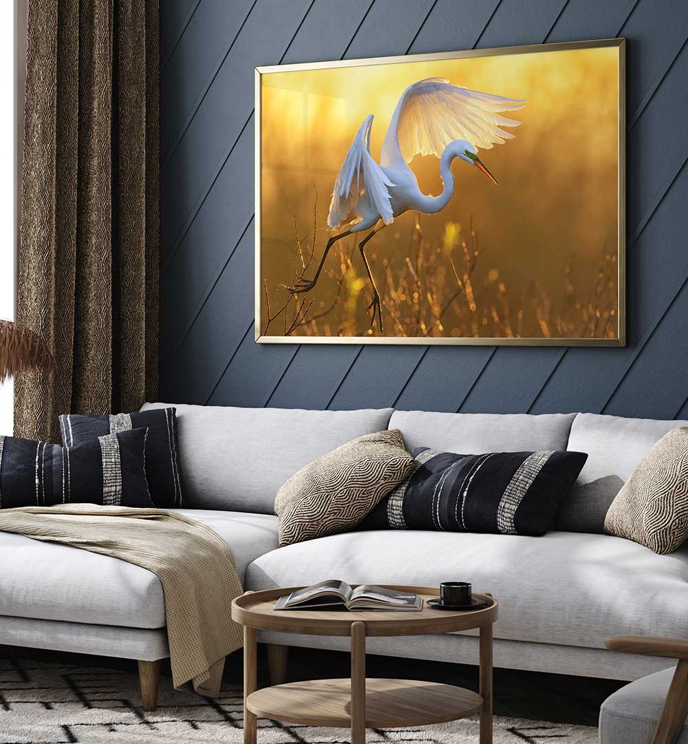 MORNING EGRET , PHOTOGRAPHY PRINTS