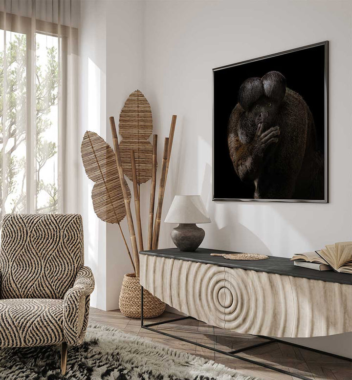 RED-BACKED BEARDED SAKI - CHIROPOTES  , PHOTOGRAPHY PRINTS