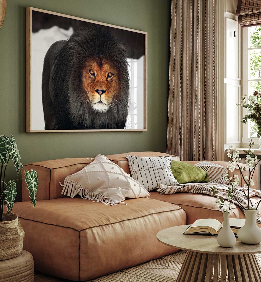 WINTER GLOW , PHOTOGRAPHY PRINTS