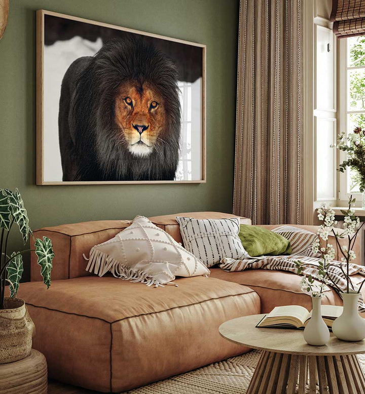 WINTER GLOW , PHOTOGRAPHY PRINTS