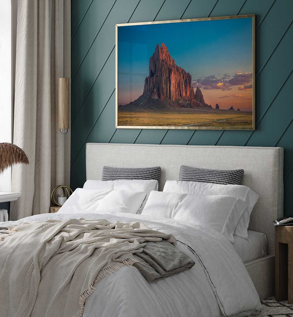 MORNING GLORY , PHOTOGRAPHY PRINTS