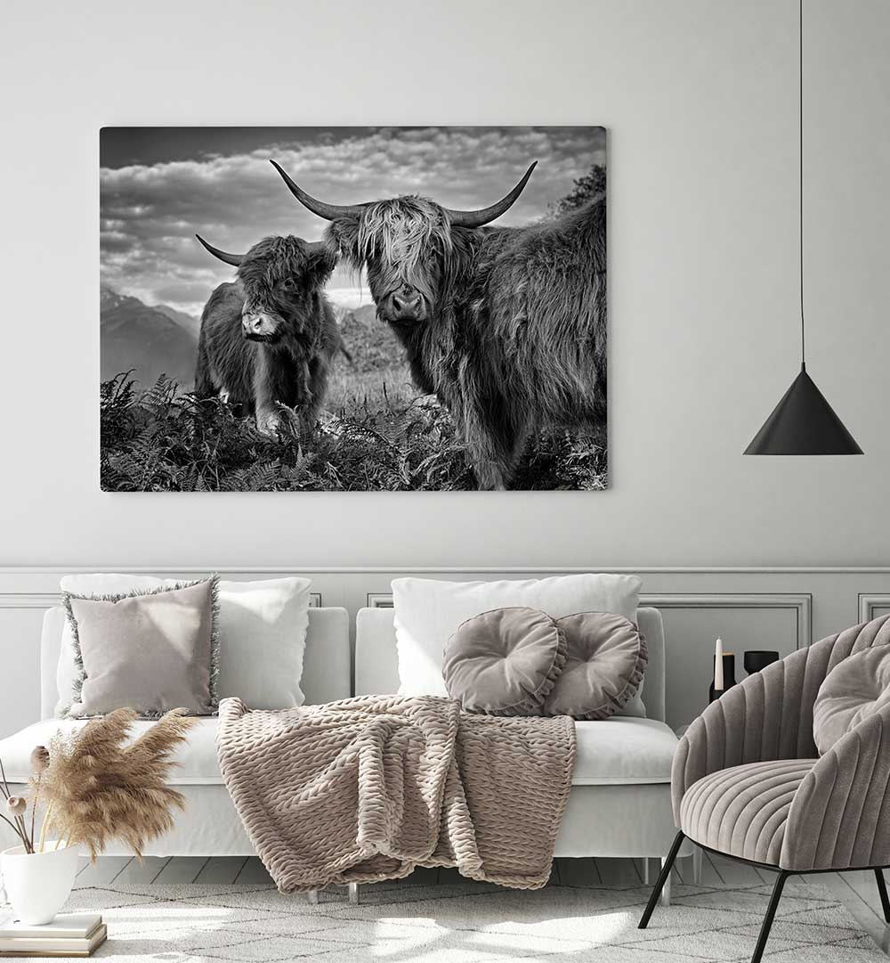 FRIENDS , PHOTOGRAPHY PRINTS