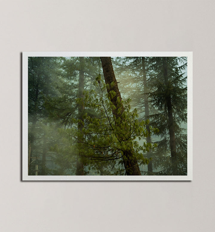 HIMACHAL VI , PHOTOGRAPHY PRINTS