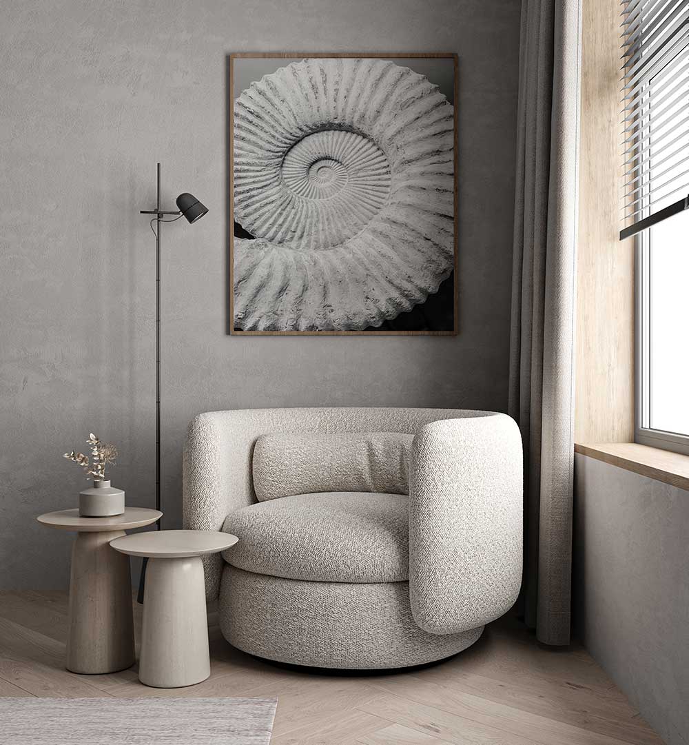 Framed monochrome ammonite print above boucle lounge chair in neutral room — ANCIENT SPIRAL DREAMS , BEACH PAINTINGS