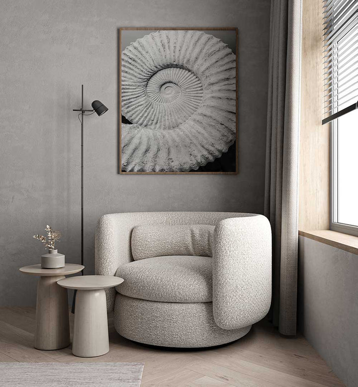Framed monochrome ammonite print above boucle lounge chair in neutral room — ANCIENT SPIRAL DREAMS , BEACH PAINTINGS